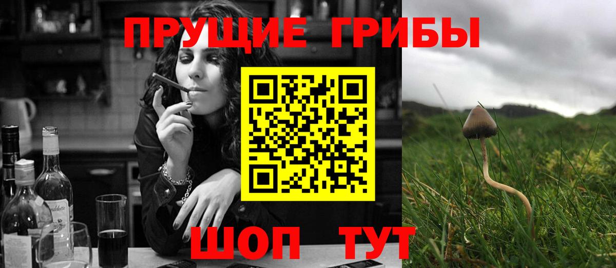 Галлюциногенные грибы MAGIC MUSHROOMS Ялуторовск