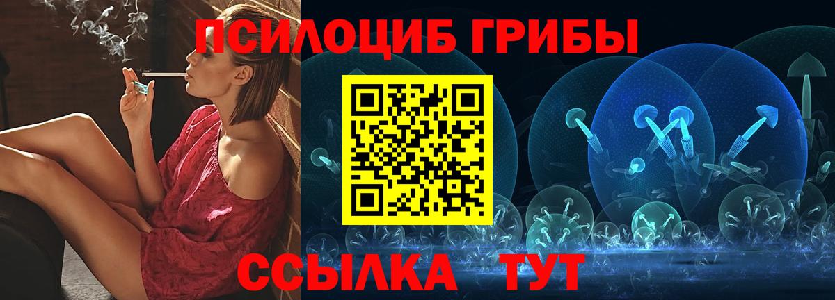Ялуторовск  Галлюциногенные грибы Cubensis  Вход с VPN 